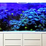 Miramare Stabia كاستيلاّماري دي ستا